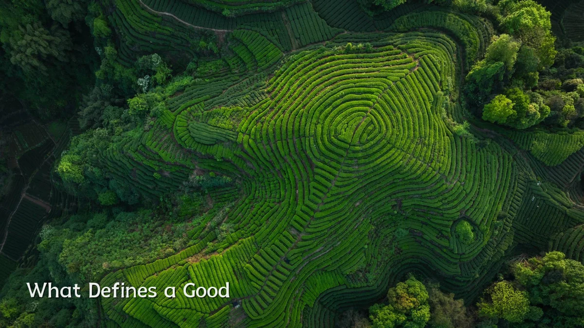 What Defines a Good