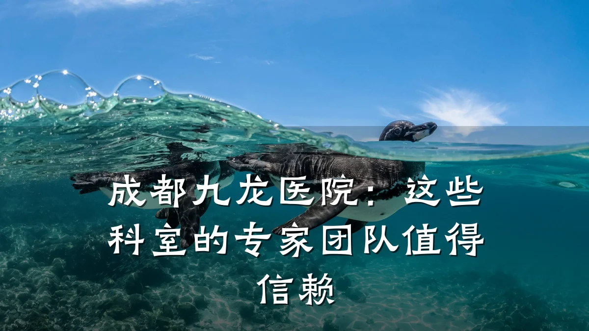 成都九龙医院:这些科室的专家团队值得信赖