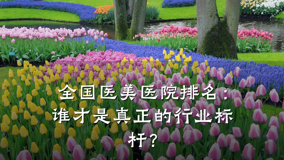 全国医美医院排名：谁才是真正的行业标杆？
