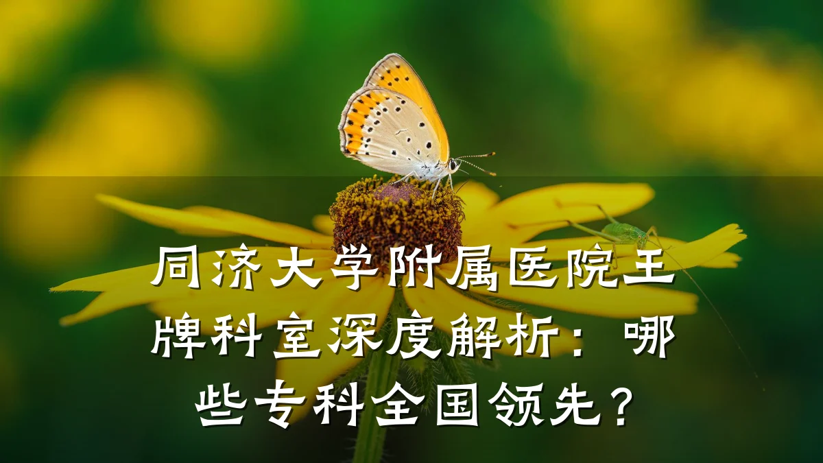 同济大学附属医院王牌科室深度解析:哪些专科全国领先?