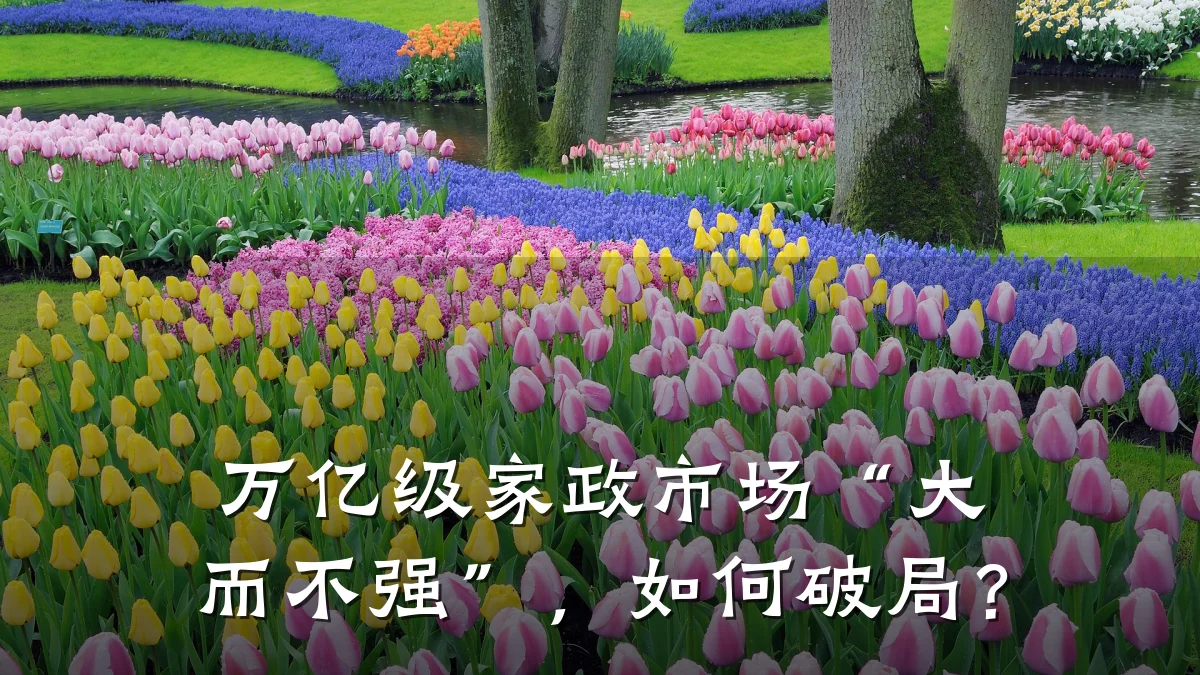万亿级家政市场“大而不强”，如何破局？