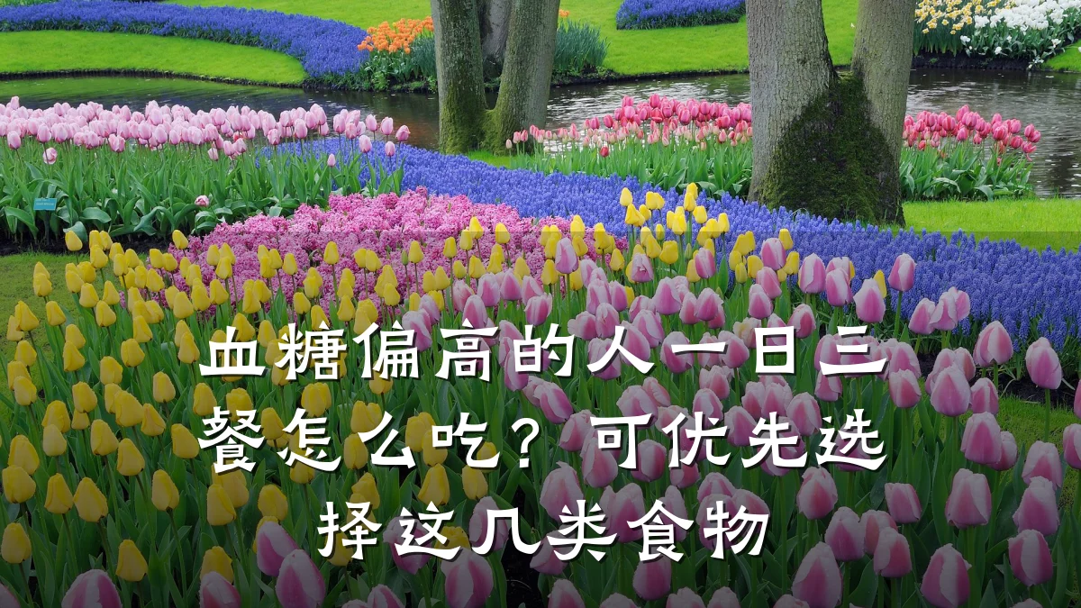 血糖偏高的人一日三餐怎么吃?可优先选择这几类食物