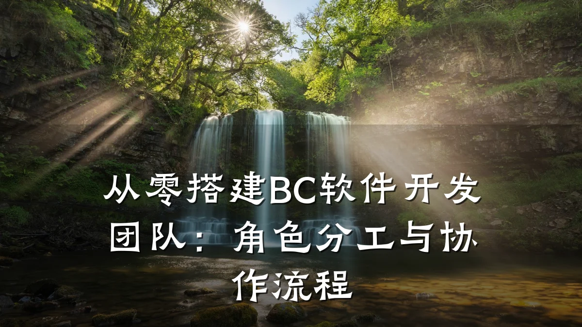 从零搭建BC软件开发团队:角色分工与协作流程