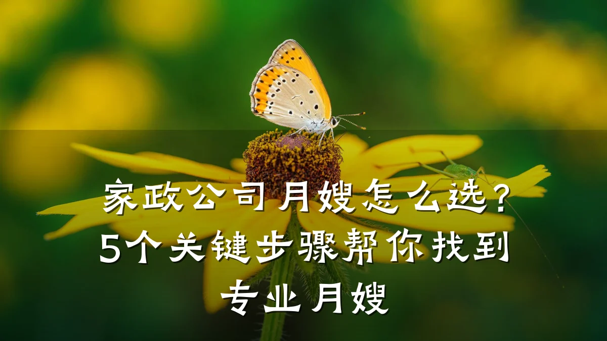 家政公司月嫂怎么选?5个关键步骤帮你找到专业月嫂