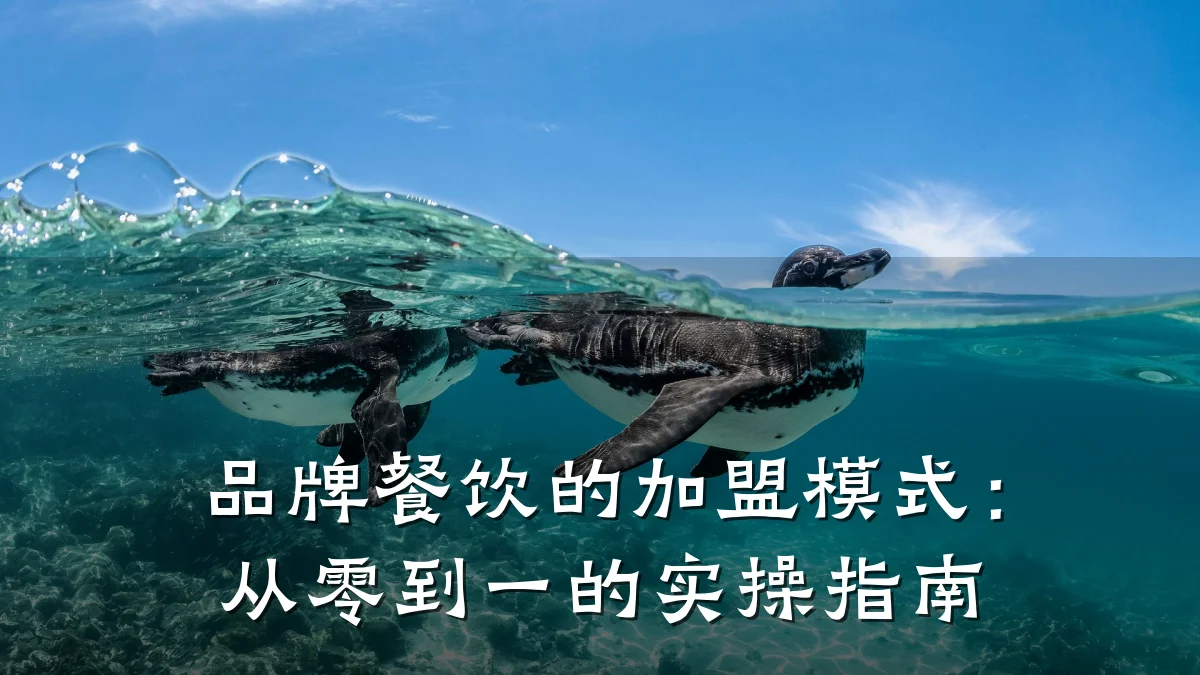 品牌餐饮的加盟模式：从零到一的实操指南