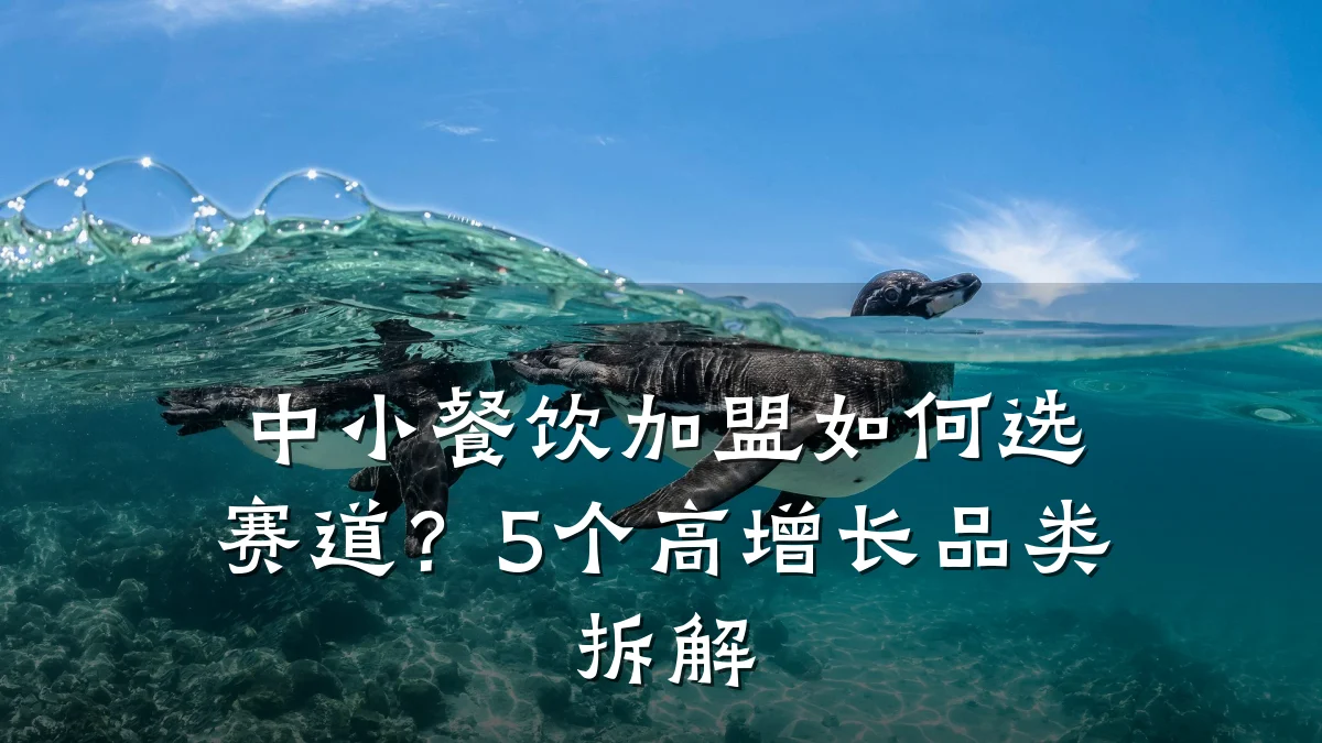 中小餐饮加盟如何选赛道?5个高增长品类拆解
