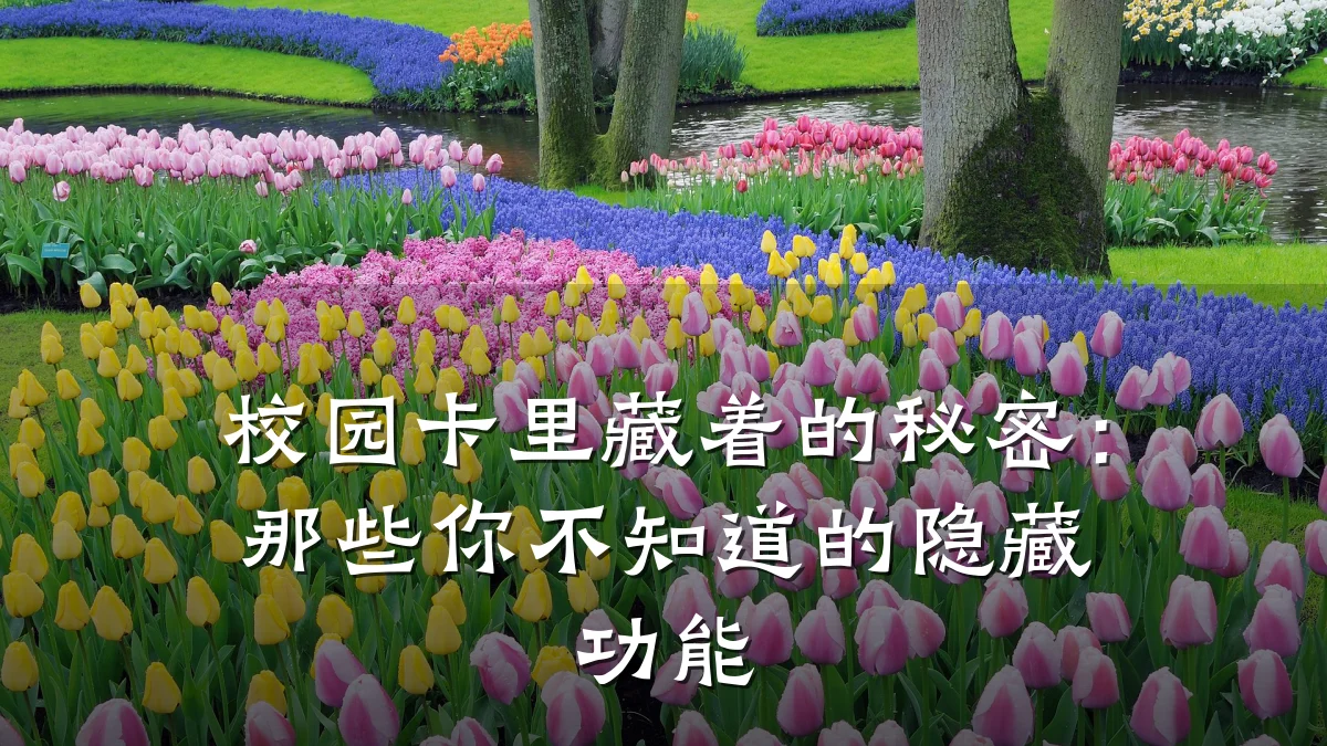 校园卡里藏着的秘密:那些你不知道的隐藏功能