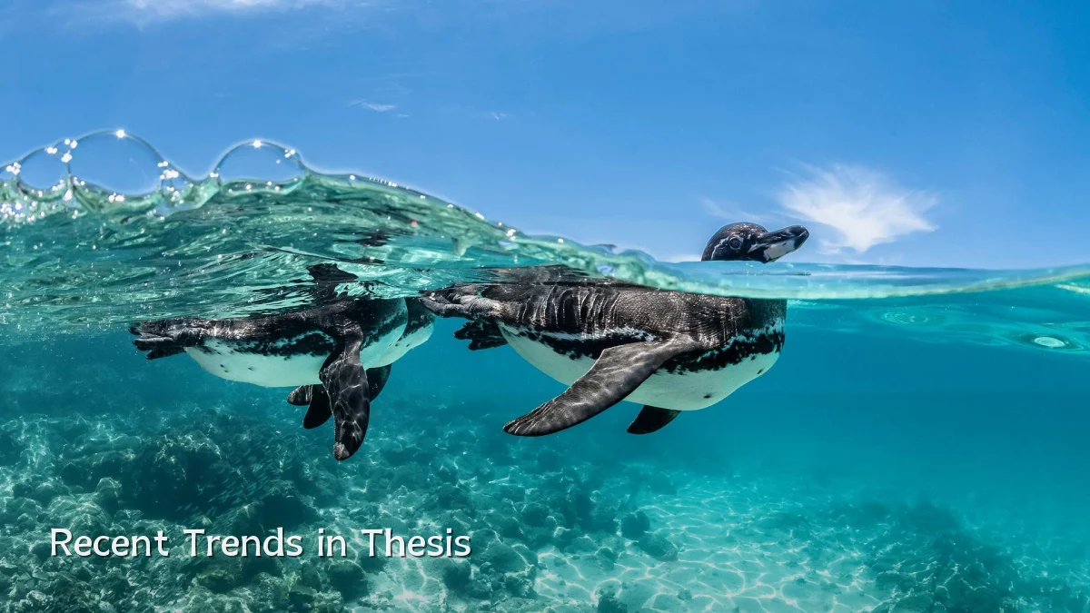 Recent Trends in Thesis
