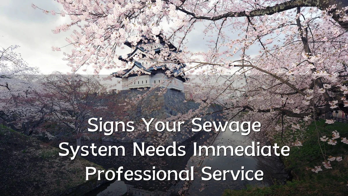 Signs Your Sewage System Needs Immediate Professional Service