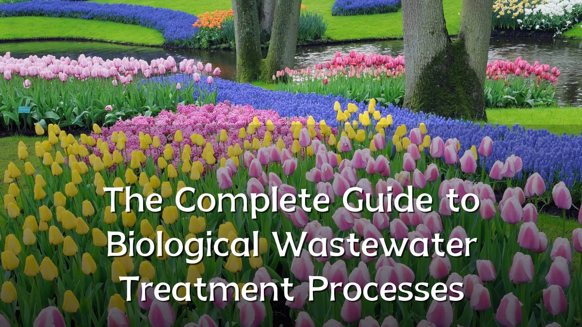 The Complete Guide to Biological Wastewater Treatment Processes
