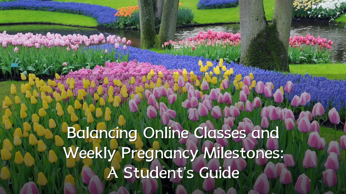 Balancing Online Classes and Weekly Pregnancy Milestones: A Student's Guide