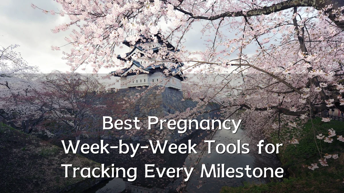 Best Pregnancy Week-by-Week Tools for Tracking Every Milestone