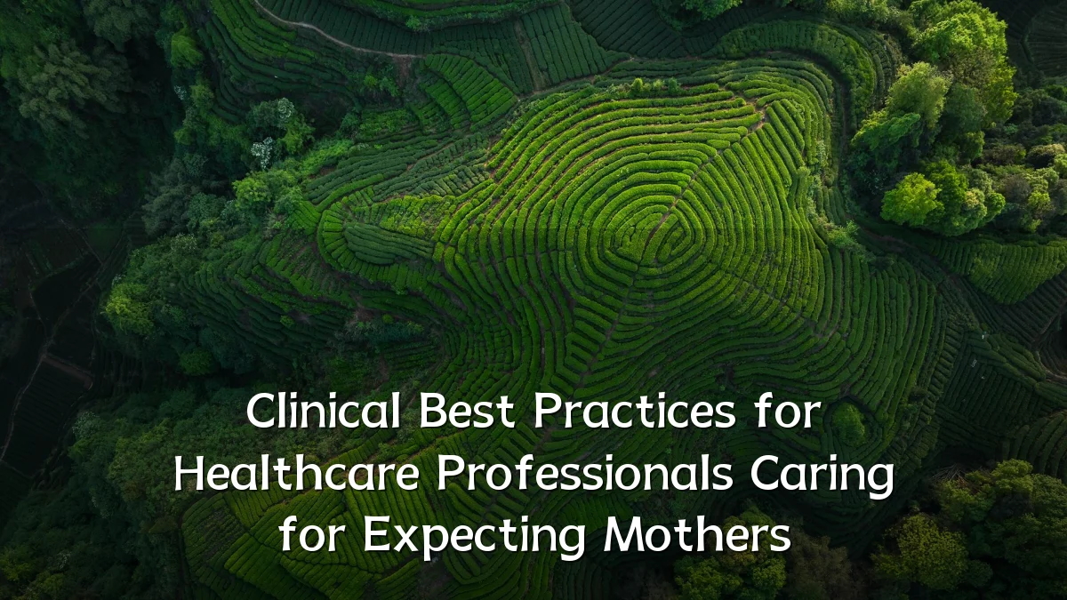 Clinical Best Practices for Healthcare Professionals Caring for Expecting Mothers