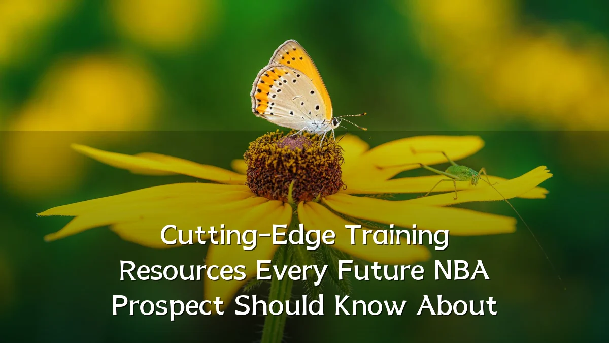 Cutting-Edge Training Resources Every Future NBA Prospect Should Know About