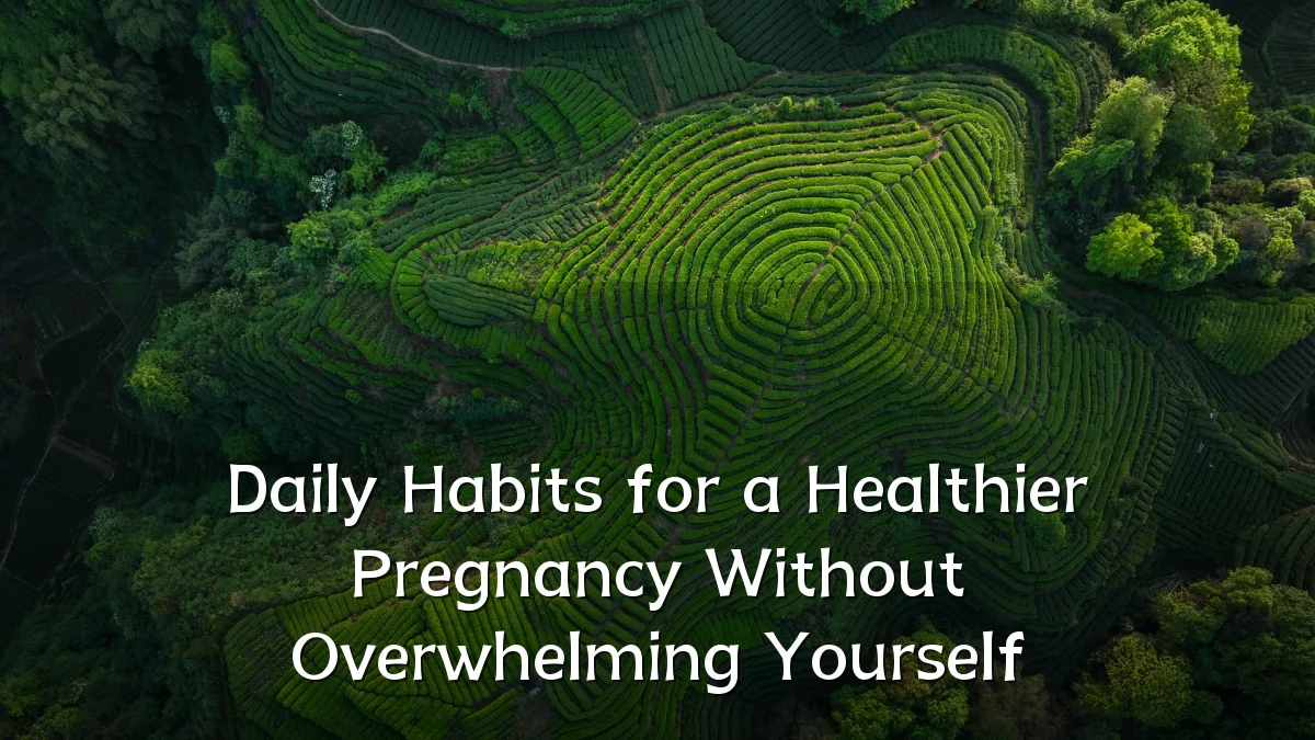 Daily Habits for a Healthier Pregnancy Without Overwhelming Yourself