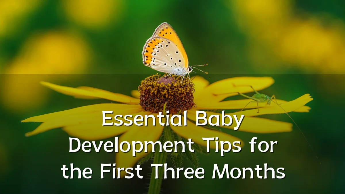 Essential Baby Development Tips for the First Three Months
