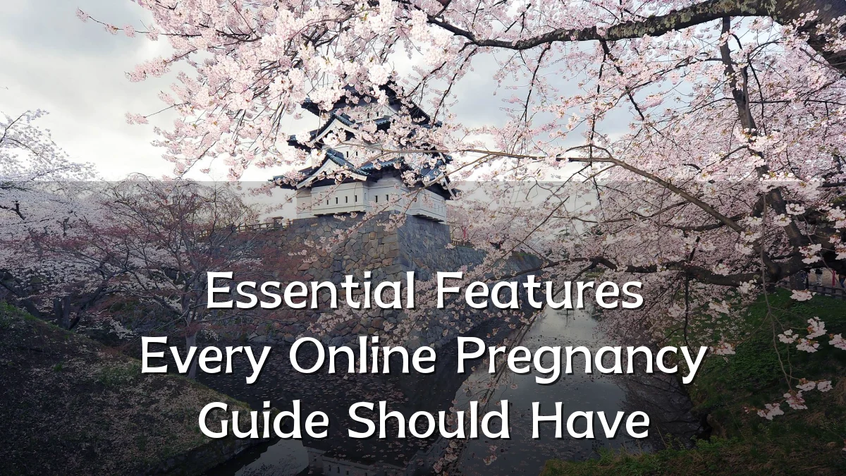 Essential Features Every Online Pregnancy Guide Should Have