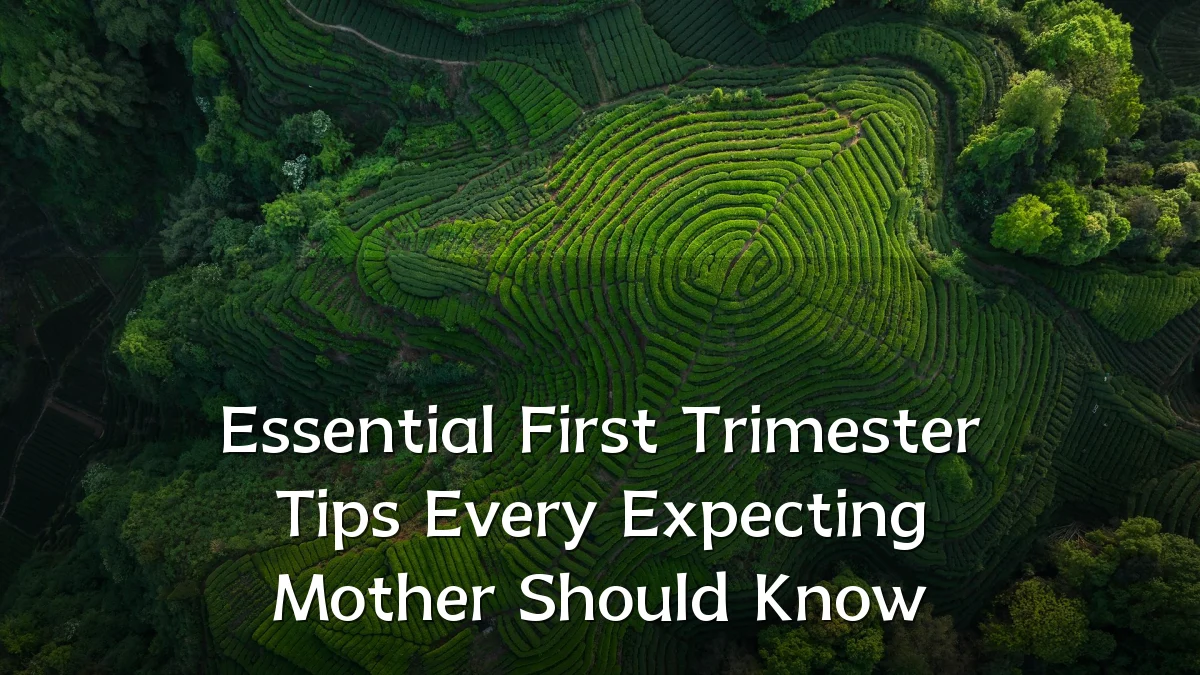 Essential First Trimester Tips Every Expecting Mother Should Know