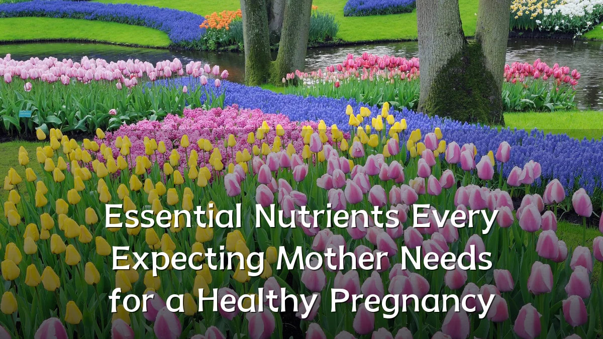 Essential Nutrients Every Expecting Mother Needs for a Healthy Pregnancy