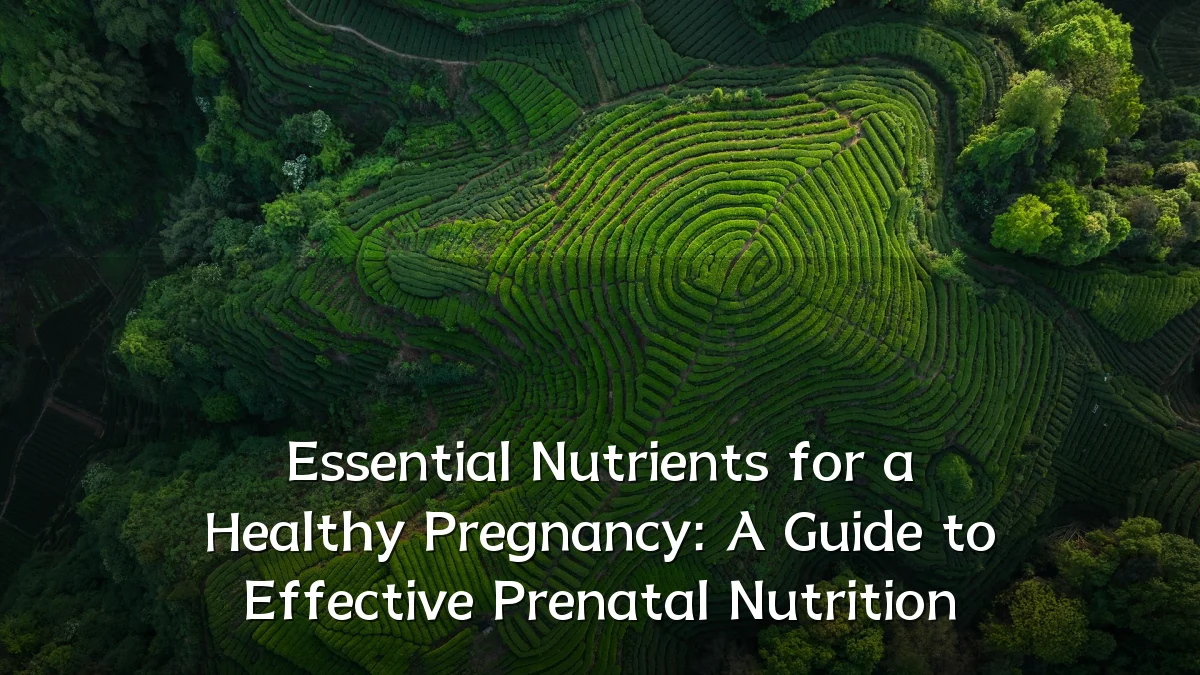 Essential Nutrients for a Healthy Pregnancy: A Guide to Effective Prenatal Nutrition