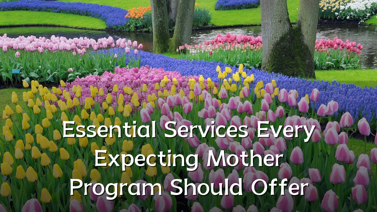 Essential Services Every Expecting Mother Program Should Offer