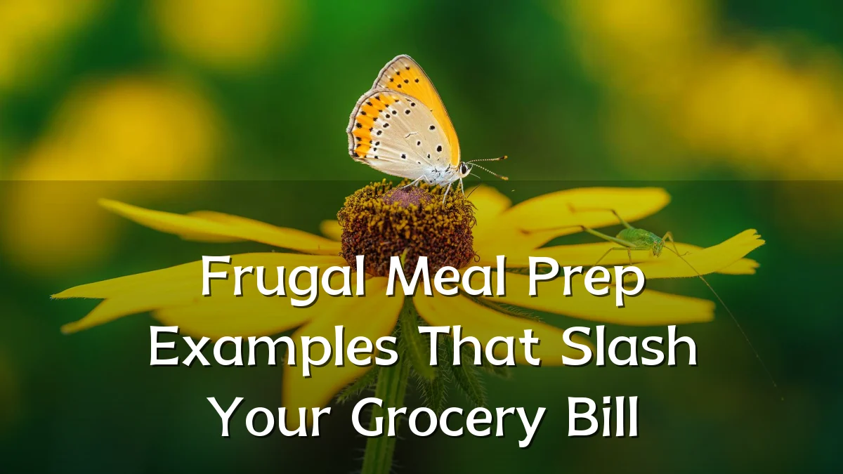 Frugal Meal Prep Examples That Slash Your Grocery Bill
