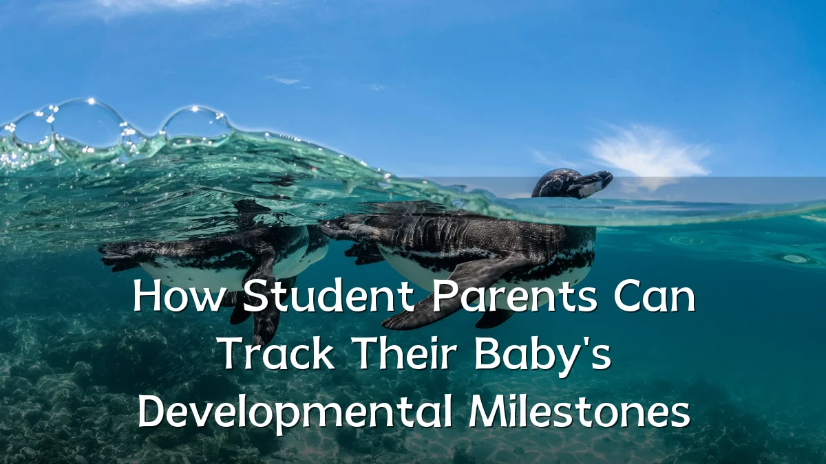 How Student Parents Can Track Their Baby's Developmental Milestones