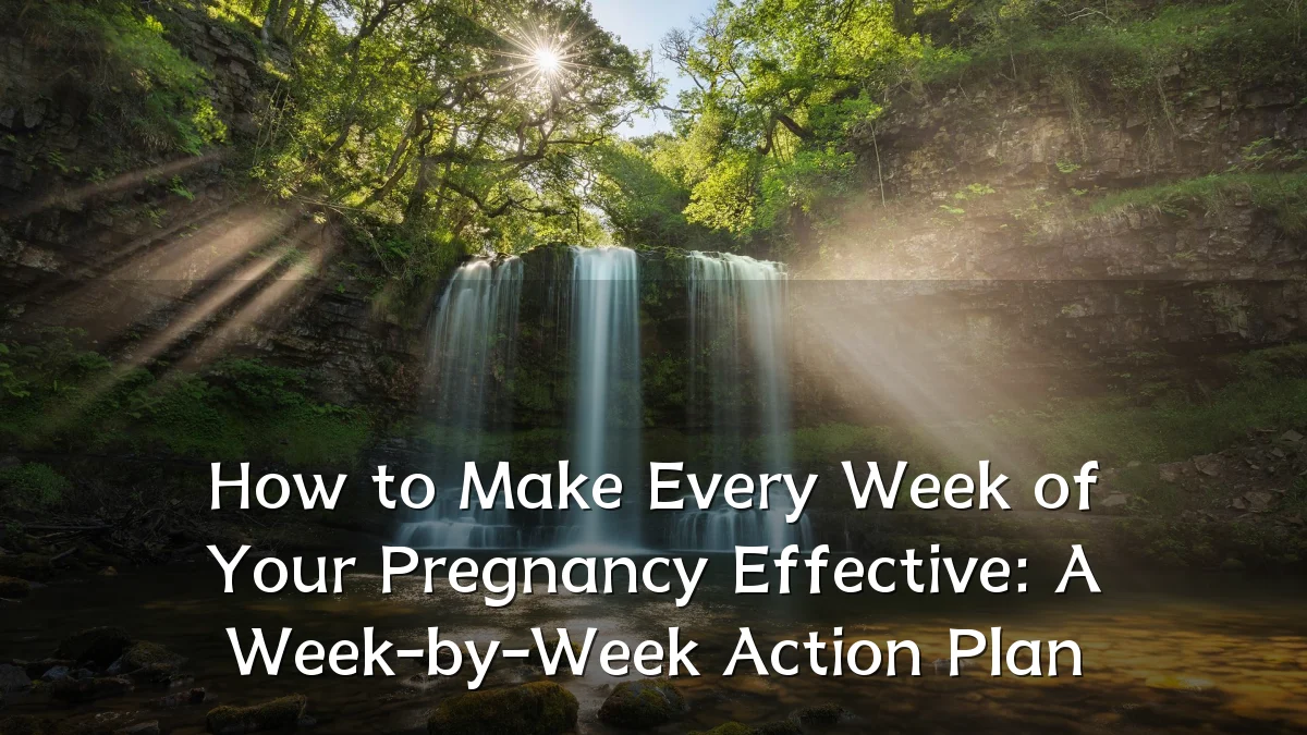 How to Make Every Week of Your Pregnancy Effective: A Week-by-Week Action Plan