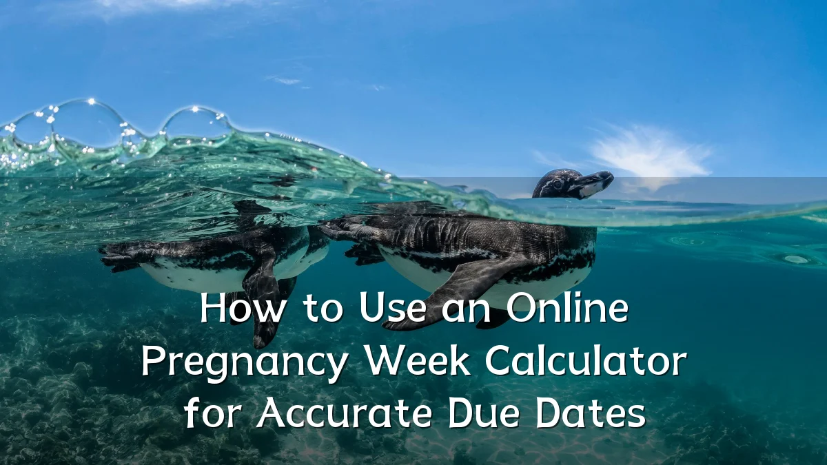 How to Use an Online Pregnancy Week Calculator for Accurate Due Dates