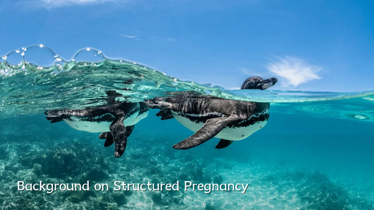 Background on Structured Pregnancy