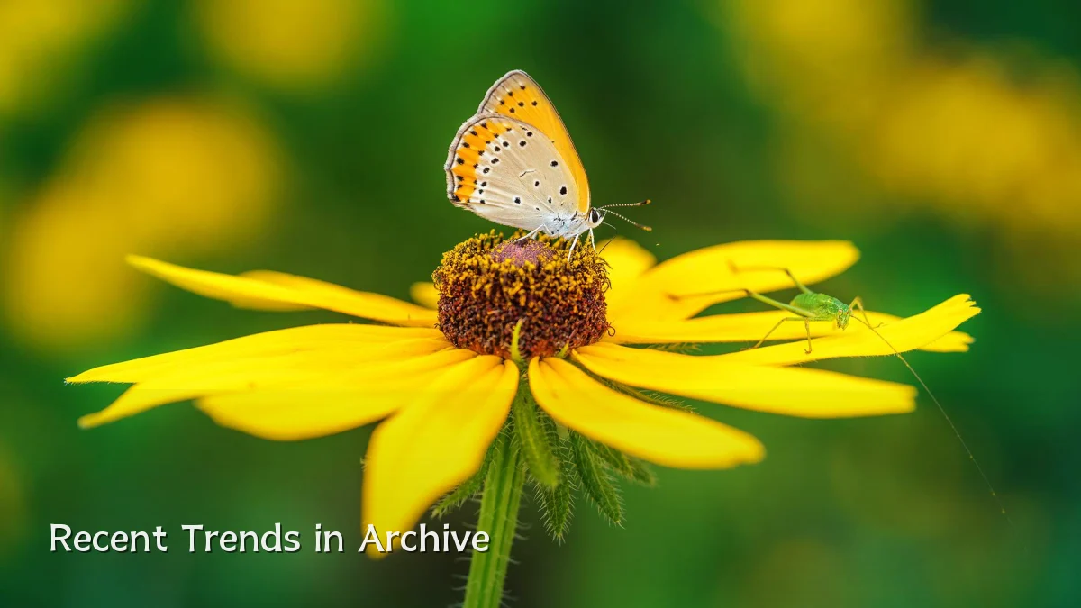 Recent Trends in Archive