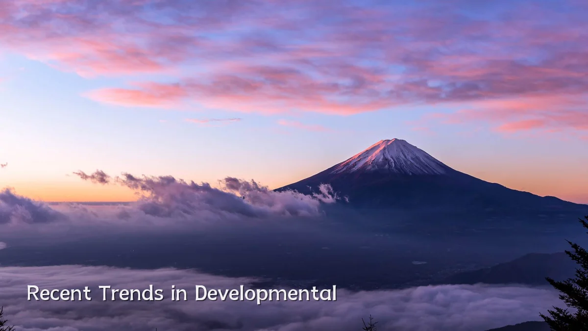 Recent Trends in Developmental