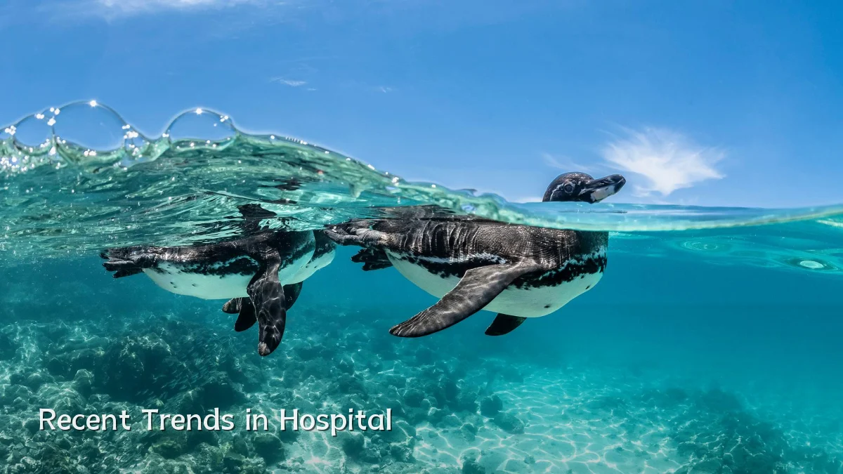 Recent Trends in Hospital