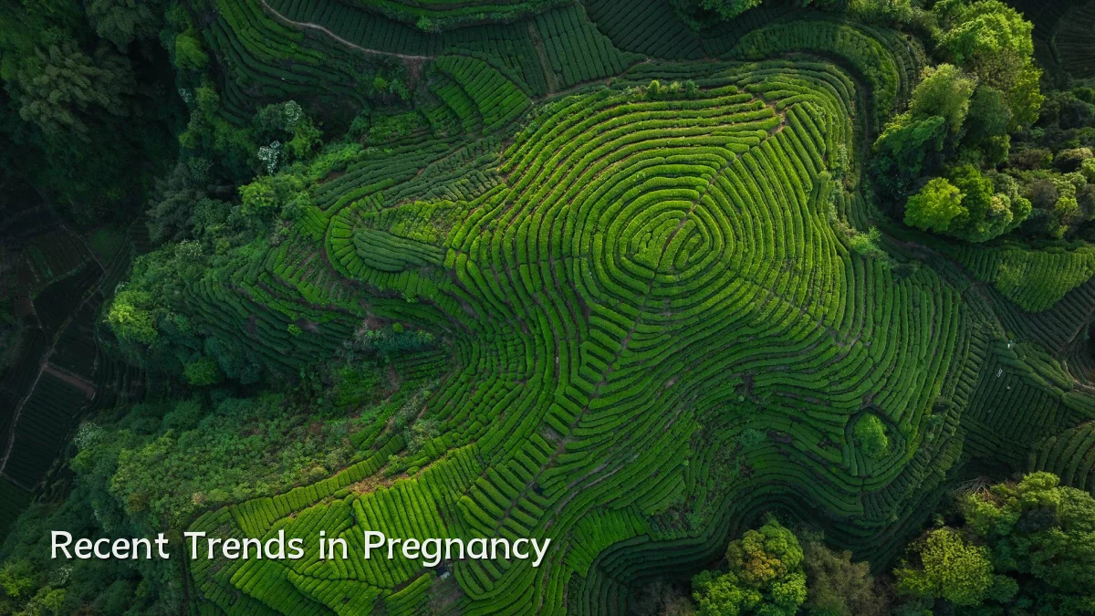 Recent Trends in Pregnancy