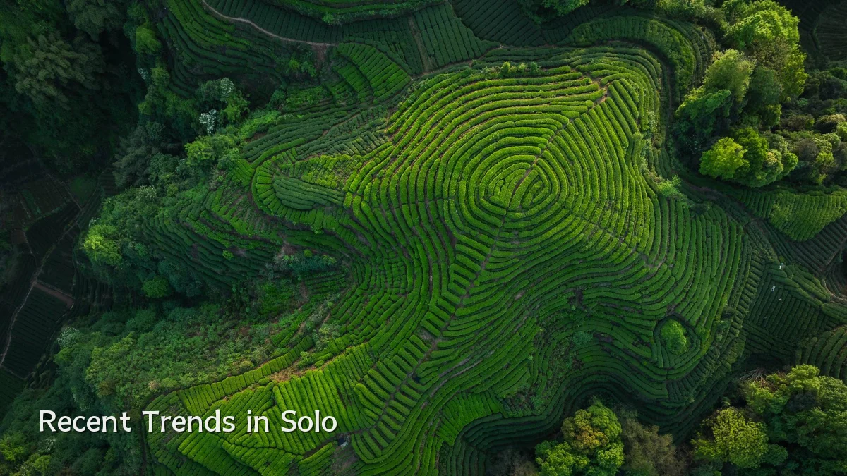 Recent Trends in Solo