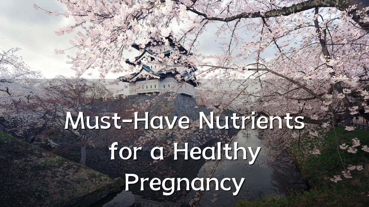 Must-Have Nutrients for a Healthy Pregnancy