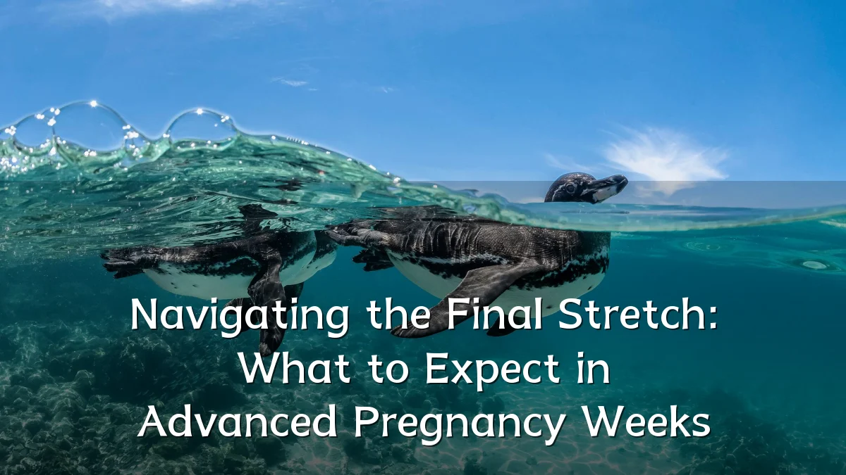 Navigating the Final Stretch: What to Expect in Advanced Pregnancy Weeks