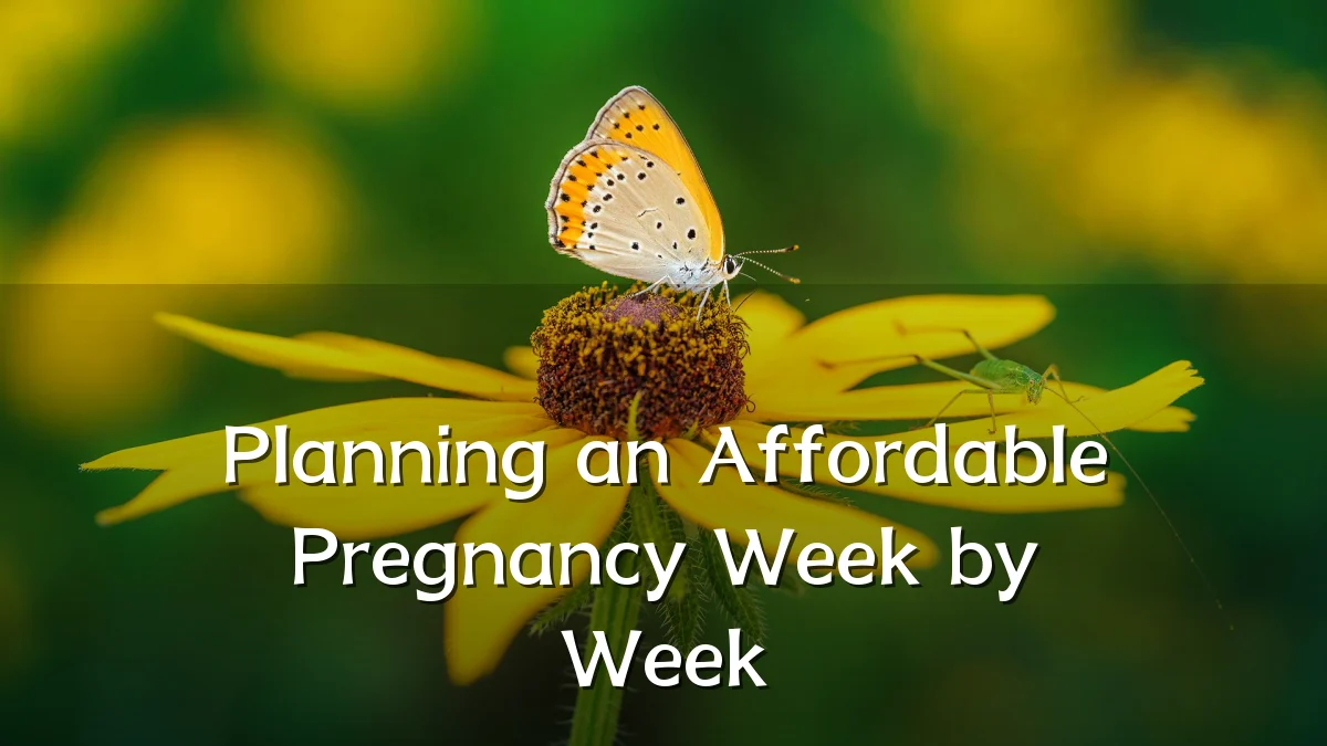 Planning an Affordable Pregnancy Week by Week