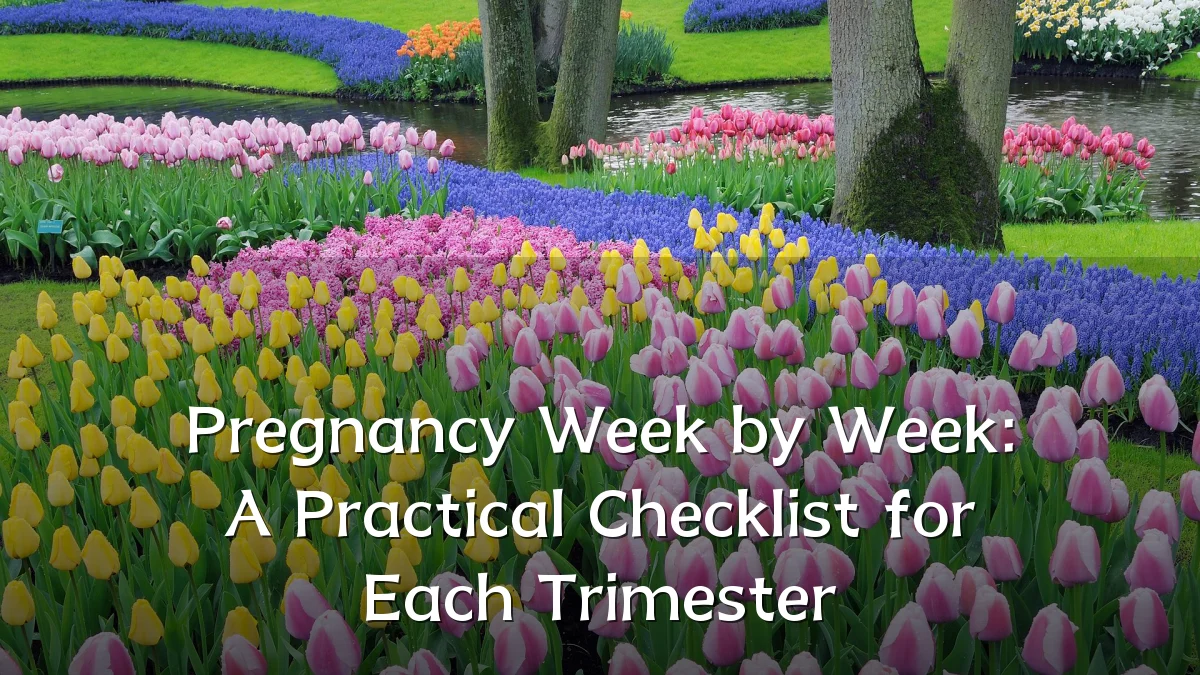 Pregnancy Week by Week: A Practical Checklist for Each Trimester