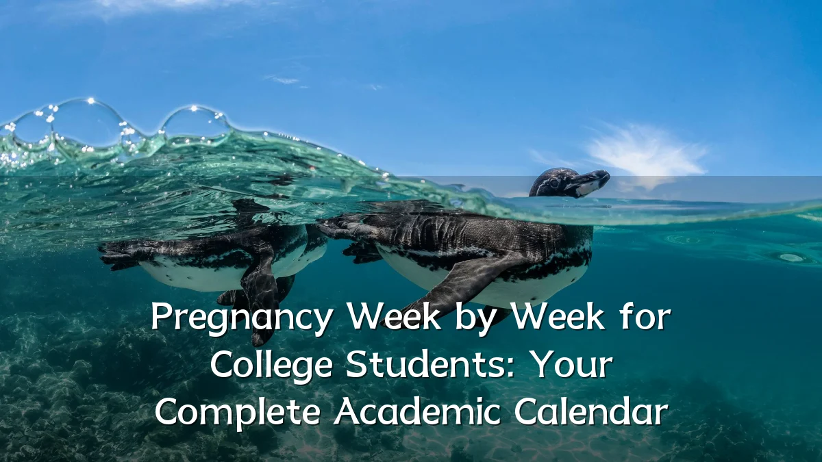 Pregnancy Week by Week for College Students: Your Complete Academic Calendar