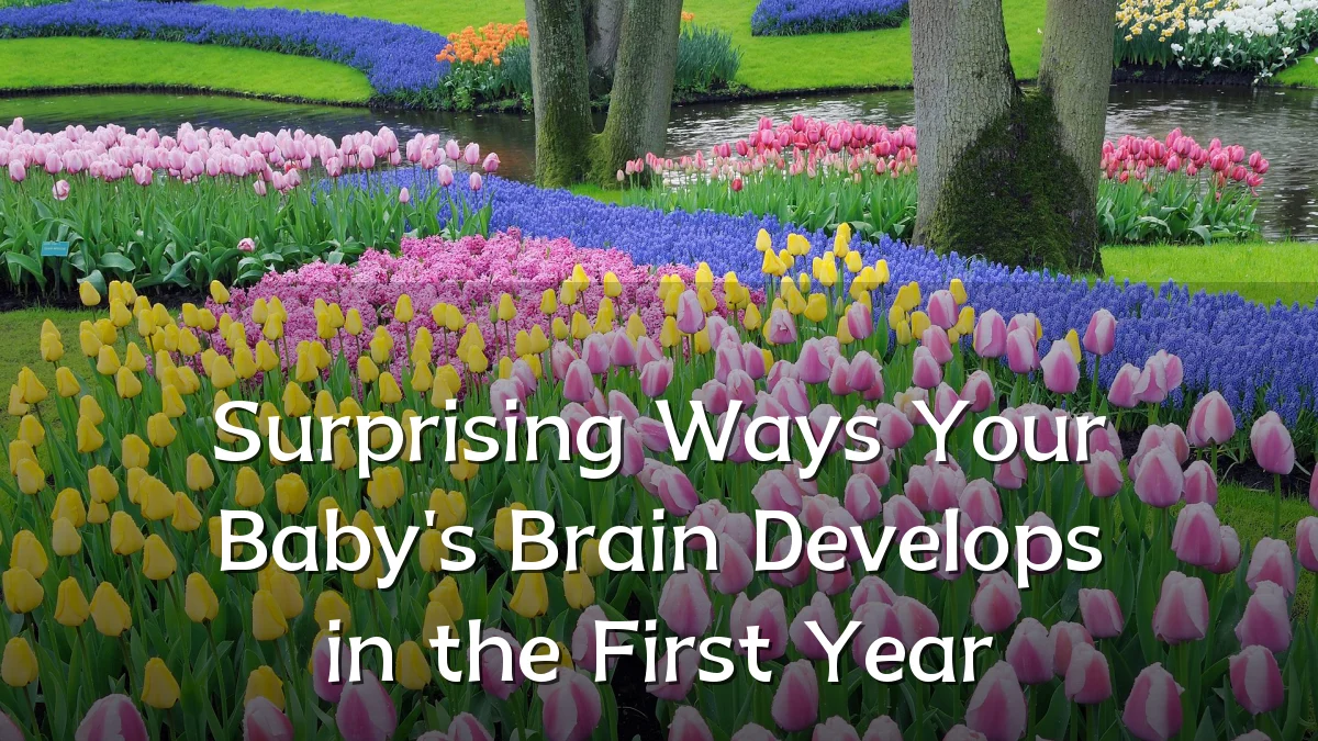 Surprising Ways Your Baby's Brain Develops in the First Year