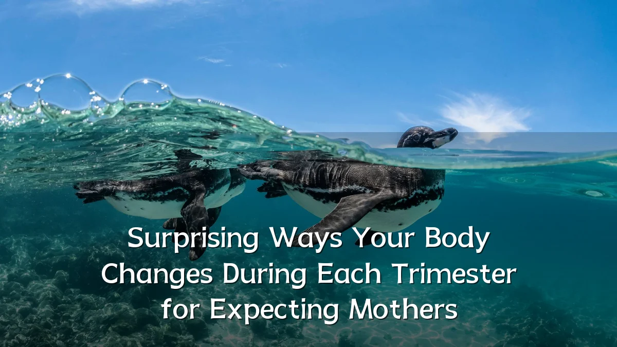 Surprising Ways Your Body Changes During Each Trimester for Expecting Mothers