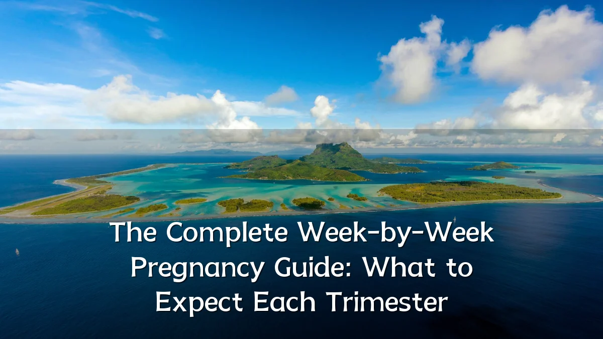 The Complete Week-by-Week Pregnancy Guide: What to Expect Each Trimester