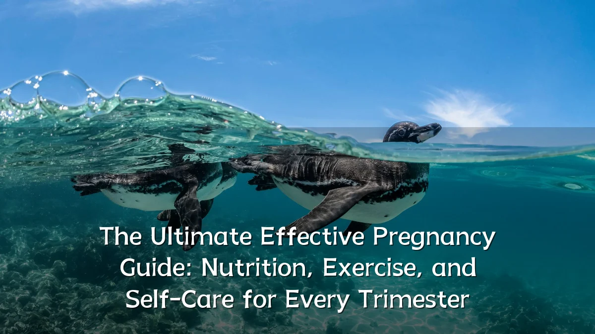 The Ultimate Effective Pregnancy Guide: Nutrition, Exercise, and Self-Care for Every Trimester