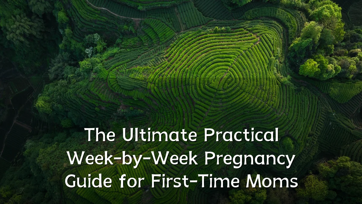 The Ultimate Practical Week-by-Week Pregnancy Guide for First-Time Moms