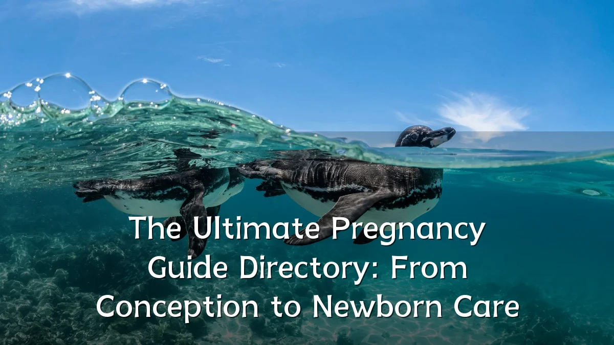 The Ultimate Pregnancy Guide Directory: From Conception to Newborn Care