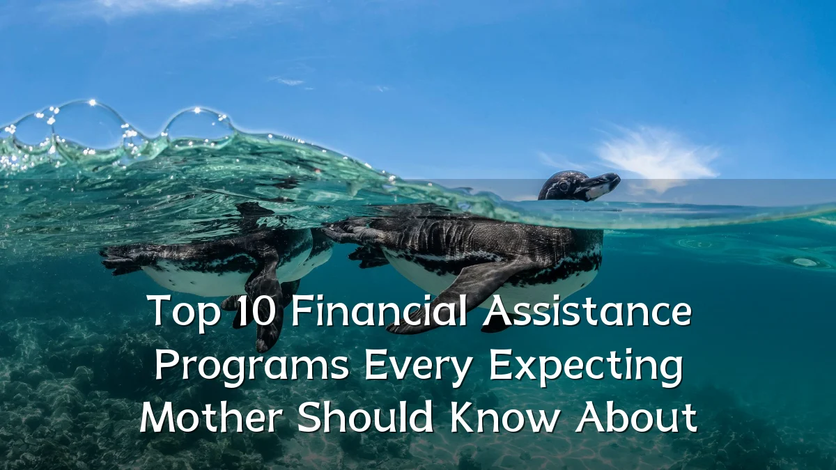 Top 10 Financial Assistance Programs Every Expecting Mother Should Know About