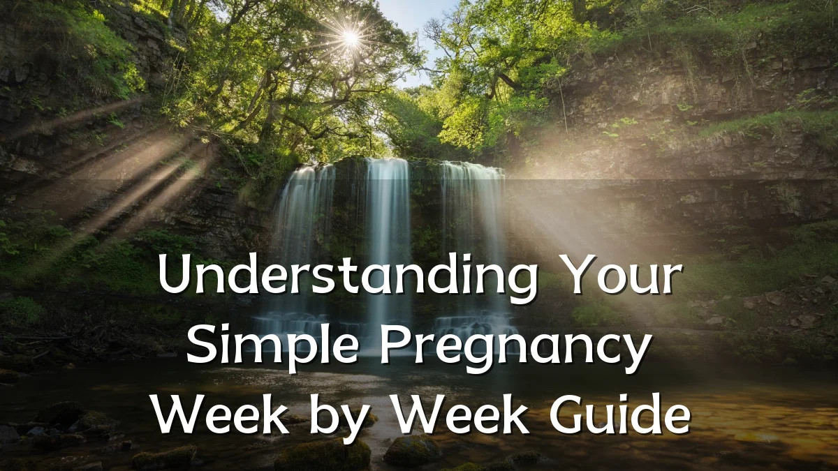 Understanding Your Simple Pregnancy Week by Week Guide