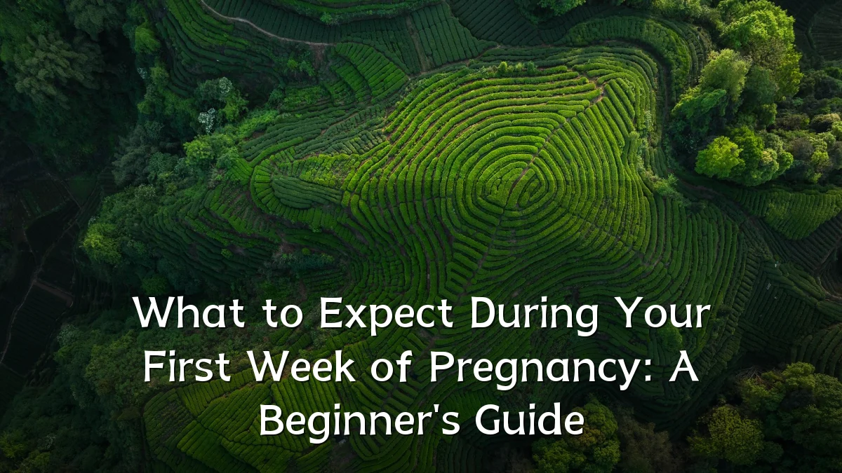What to Expect During Your First Week of Pregnancy: A Beginner's Guide
