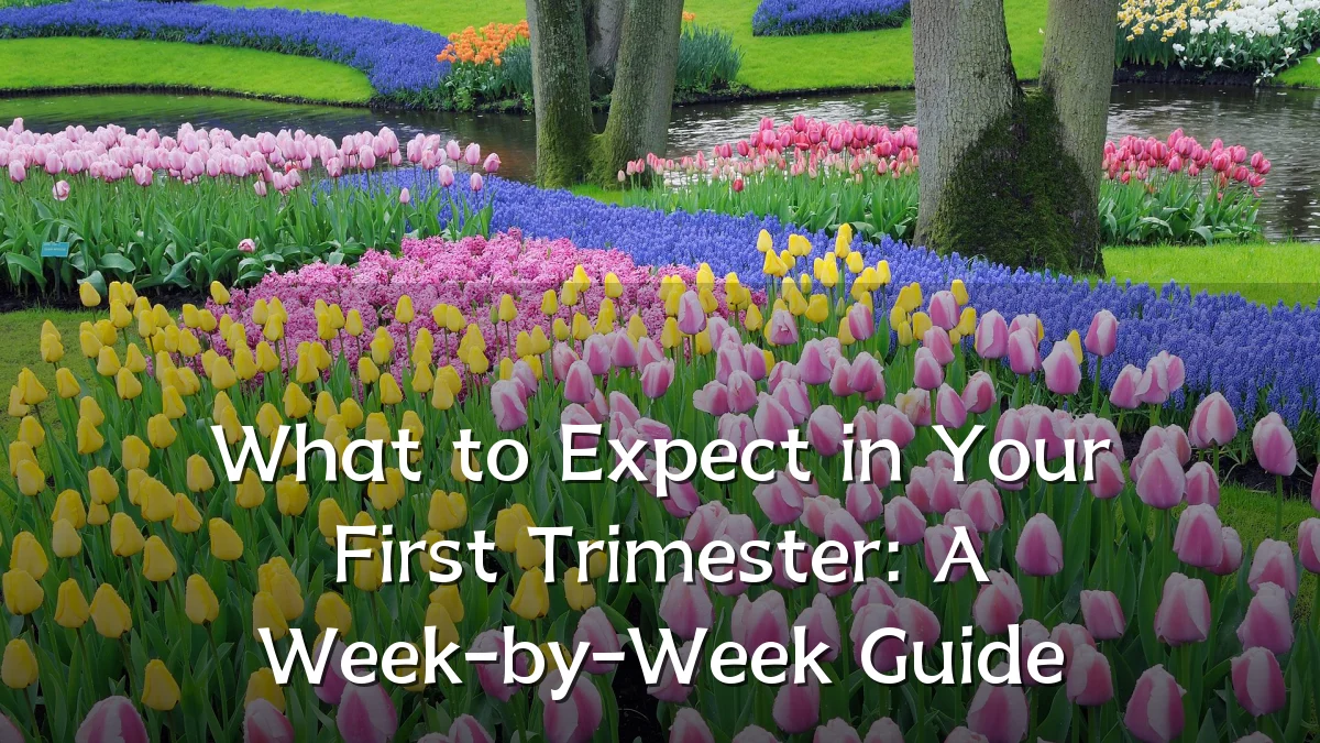 What to Expect in Your First Trimester: A Week-by-Week Guide